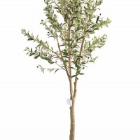 OLIVE TREE NP405_175  ΥΨΟΣ 175cm NewPlan