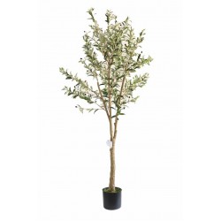 OLIVE TREE NP405_175  ΥΨΟΣ 175cm NewPlan