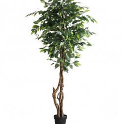 FICUS TREE NP5209_180  ΥΨΟΣ 180cm NewPlan