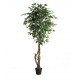 FICUS TREE NP5209_180  ΥΨΟΣ 180cm NewPlan