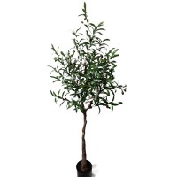 OLIVE TREE NP4817_160_22   ΥΨΟΣ 160cm NewPlan