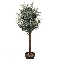 OLIVE TREE NP459_120 ΥΨΟΣ 120cm NewPlan