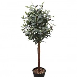 OLIVE TREE NP459_120 ΥΨΟΣ 120cm NewPlan