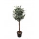 OLIVE TREE NP459_120 ΥΨΟΣ 120cm NewPlan