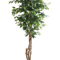 FICUS TREE NP5208_150   ΥΨΟΣ 150cm NewPlan