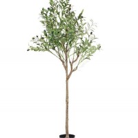 OLIVE TREE NP1384_150  ΥΨΟΣ 150cm NewPlan