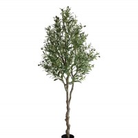 OLIVE TREE NP415_122 ΥΨΟΣ 122cm NewPlan