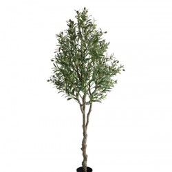 OLIVE TREE NP415_122 ΥΨΟΣ 122cm NewPlan