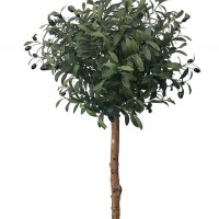 OLIVE TREE NP5807_150_22_UV ΥΨΟΣ 150cm NewPlan