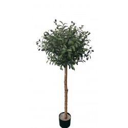 OLIVE TREE NP5807_150_22_UV ΥΨΟΣ 150cm NewPlan