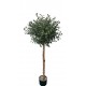 OLIVE TREE NP5807_150_22_UV ΥΨΟΣ 150cm NewPlan