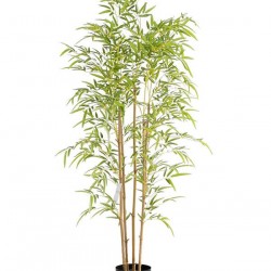 BAMBOO  NP6320_150_22 ΥΨΟΣ 150cm NewPlan