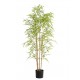 BAMBOO  NP6320_150_22 ΥΨΟΣ 150cm NewPlan