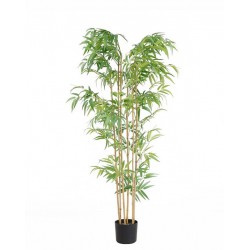 BAMBOO  NP5801_150_22_UV   ΥΨΟΣ 150cm NewPlan