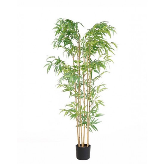 BAMBOO  NP5801_150_22_UV   ΥΨΟΣ 150cm NewPlan