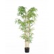 BAMBOO  NP5801_150_22_UV   ΥΨΟΣ 150cm NewPlan