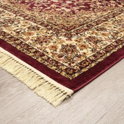 ΧΑΛΙ PERSIA 5649 BURGUNDY ΜΕ ΚΡΟΣΣΙ - 160X230  NewPlan